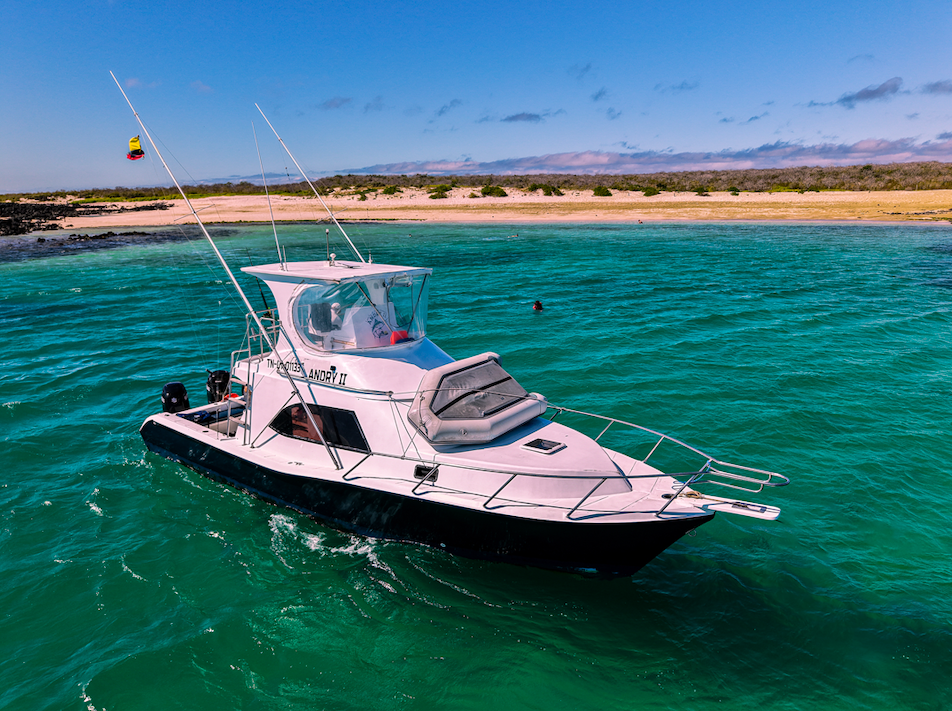 Andry II expedition vessel 4