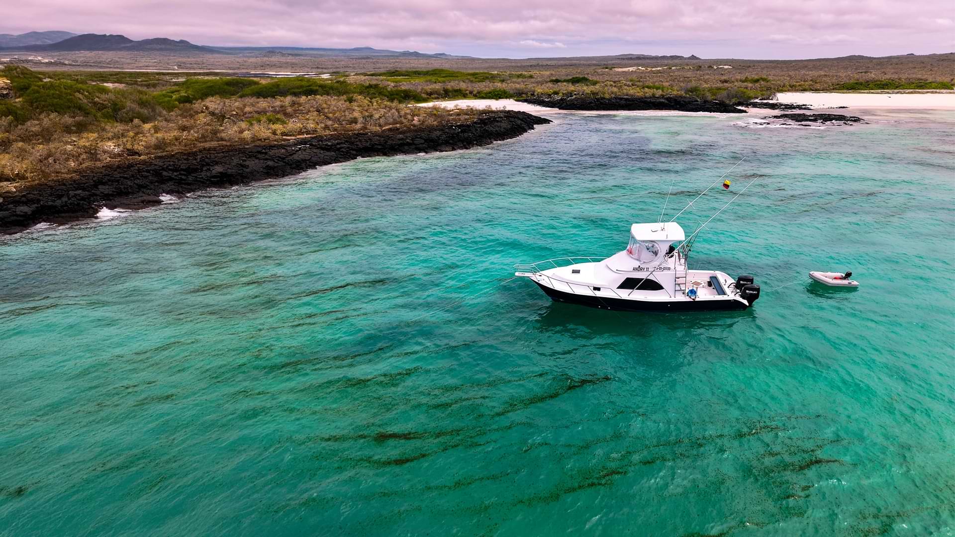 Andry II expedition vessel