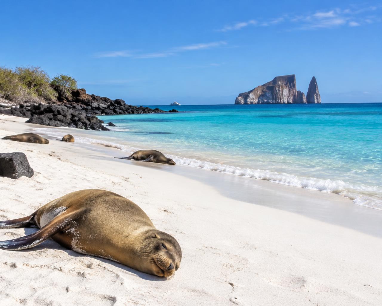 Cerro Brujo white sand beach with sea lions and Kicker Rock